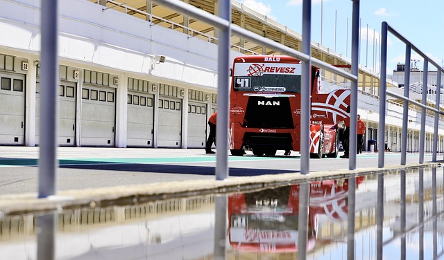 也展示了中 也展示了中