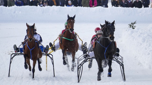 在比赛那一 在比赛那一
