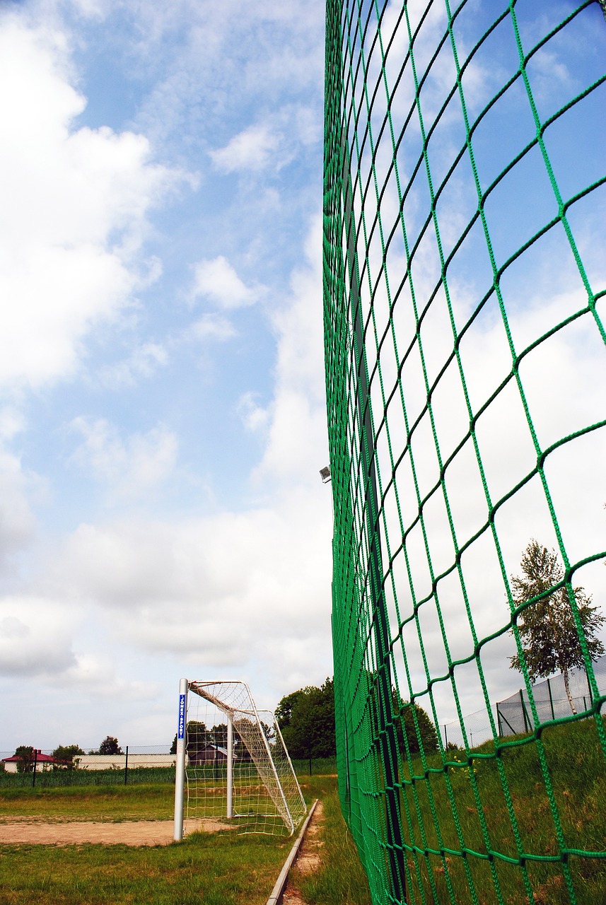 巴西隊穩坐 巴西隊穩坐