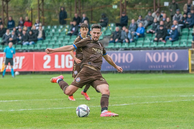 能够引进国 能够引进国