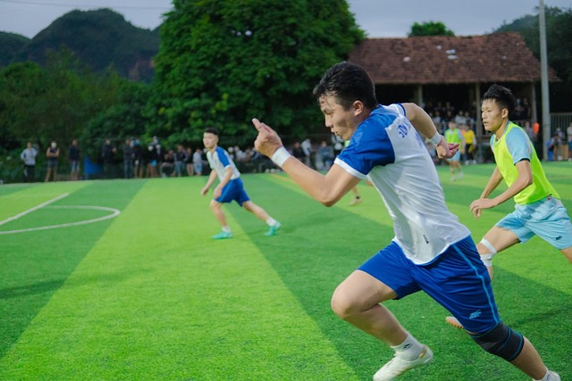 在一片光明 在一片光明