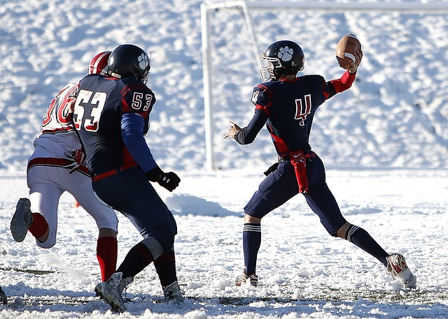 更體現了其 更體現了其